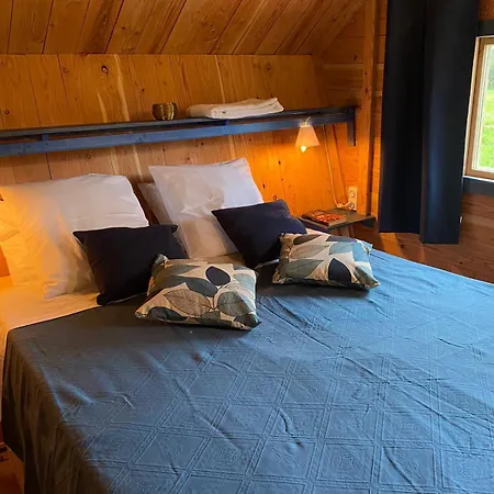 Kemp De L'oasienne Lissac et Mouret